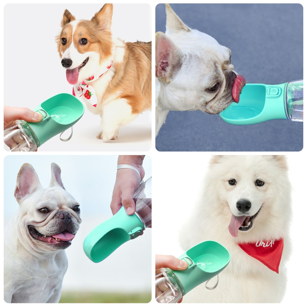 Mobile Hundetrinkflasche - Ideal für Unterwegs
