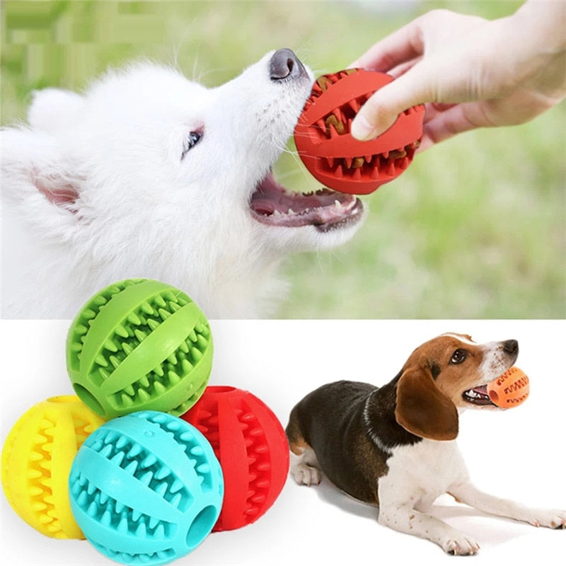 Hundeball mit Leckerlis