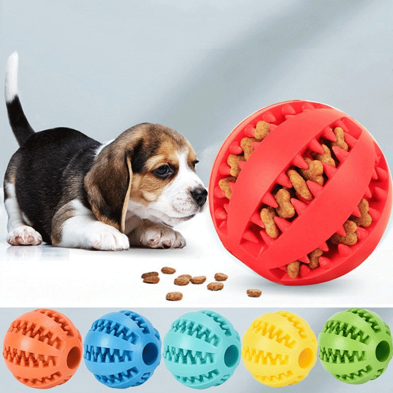 Hundeball mit Leckerlis